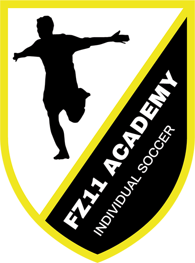 FZ11 Academy
